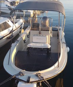 rental boat whaler bow